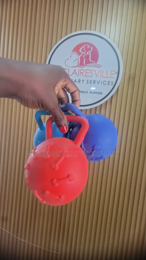 Brand New Rubber Pet Toys - Multiple Colours - 1