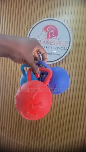 Brand New Rubber Pet Toys - Multiple Colours