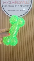 Brand New Rubber Pet Toys - Multiple Colours - 5