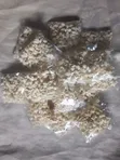 Adedam Popgnut: Sabon Kunshin Kayan Ciye-ciye na Popcorn da Groundnut - 1