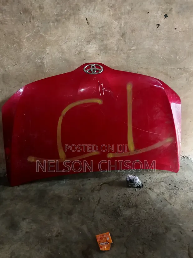 Toyota Venza Bonnet (2012) - 1