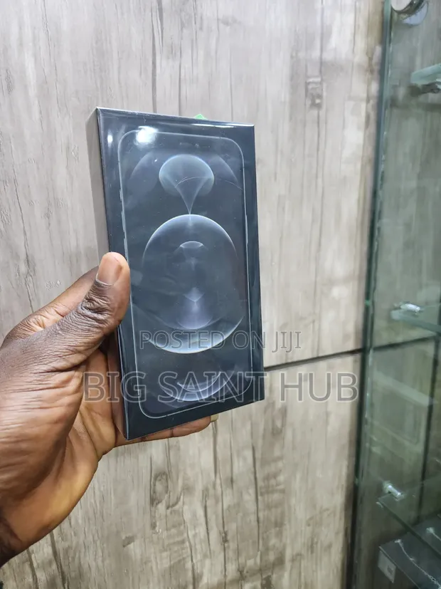 Sabon Apple iPhone 12 Pro Max 256GB Graphite - 1