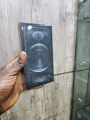 Sabon Apple iPhone 12 Pro Max 256GB Graphite