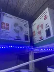 DP Light 12-Inch Rechargeable AC/DC Fan with Solar Bulbs - 2