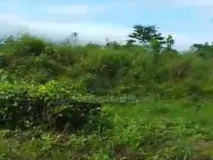 15 Plots na Sayarwa a Titin Ubani Uzuakoli, Umuahia