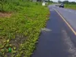 15 Plots for Sale Along Ubani Uzuakoli Road, Umuahia - 3