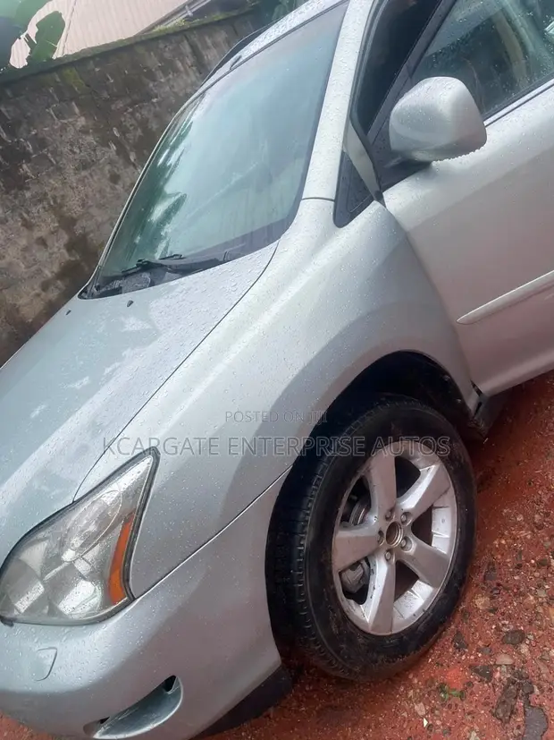 Lexus RX 2006 Gray - 1