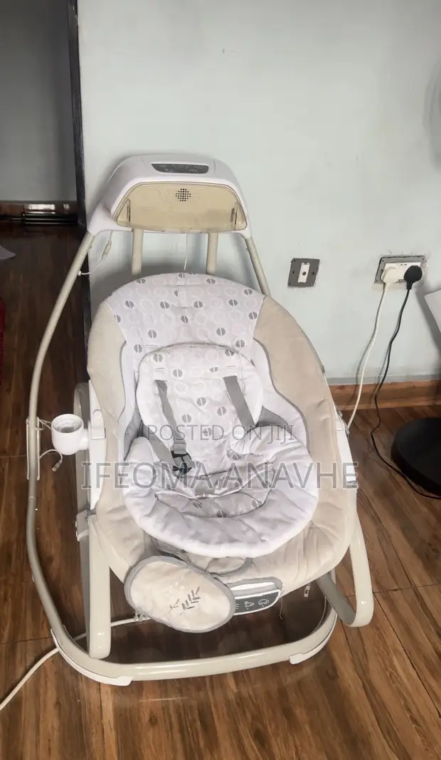 Ingenuity Baby Swing - 1