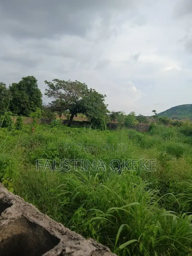 Residential Plot for Sale - FHA Allocation, Kabusa Estate, Abuja - 1
