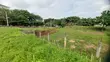 1700sqm Residential Land for Sale in Gudu - 2