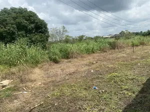 Filin Zama 450sqm, Ido