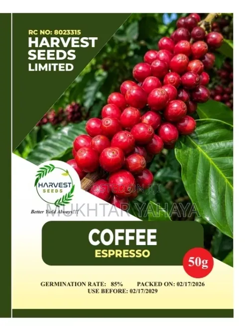 1st Choice Coffee Seeds - Tropical Wet & Dry Climate - 1