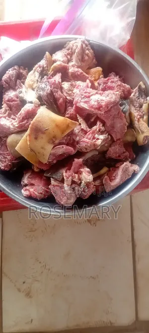 Frozen Food Vendor - Gbasa/Airport Road, Abuja