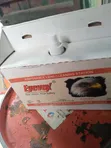 Eyevex Lens Cleaner - 1