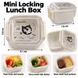 Mini Locking Lunch Box 170ml - Abun Adana Abinci Mai Ɗaukar Hawa - 1