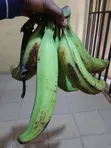 Healthy Unripe Plantain - 1
