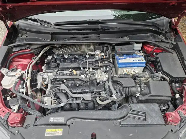 Toyota Corolla 2023 Burgandy - 1