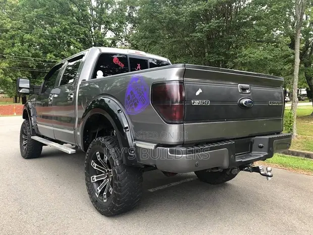 Ford F-150 Platinum 2012 Gray - 1