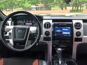 Ford F-150 Platinum 2012 Gray