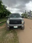 Ford F-150 Platinum 2012 Gray - 3