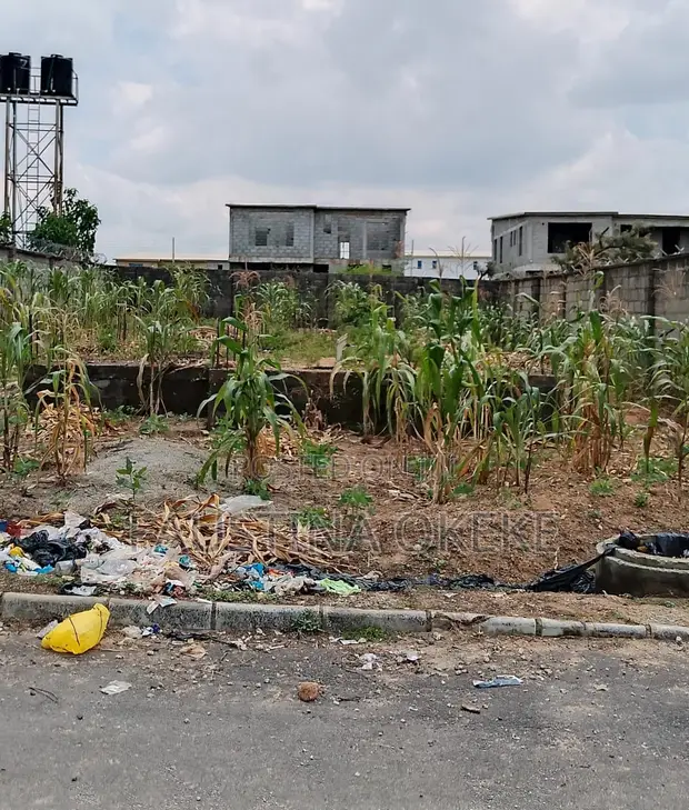 Residential Plot for Sale in Shallom Estate, Abuja - 1
