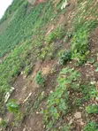 Filin Zama don Siyarwa a Orozo, Abuja - 2