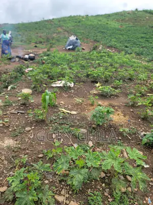 Filin Zama don Siyarwa a Orozo, Abuja