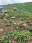 Filin Zama don Siyarwa a Orozo, Abuja - 3