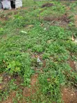 Filin Zama don Siyarwa a Orozo, Abuja - 4