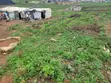 Filin Zama don Siyarwa a Orozo, Abuja - 5