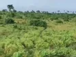 380 Plots for Sale in Mbom Ibeku, Umuahia - 1
