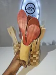 Wooden Spatula and Cooking Spoon Set with Holder - 2