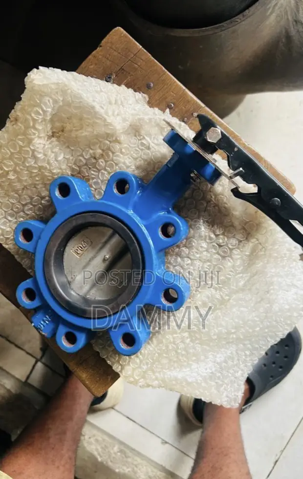 Lug-Style Butterfly Valve - 1