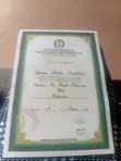 Health & Beauty Technician CV - Official Nurse - 2