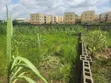 Filin Zama na 915.40sqm da aka yi wa katanga don siyarwa, Dutse-Alhaji - 3