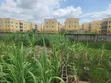 Filin Zama na 915.40sqm da aka yi wa katanga don siyarwa, Dutse-Alhaji - 4
