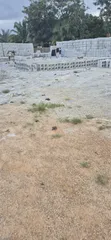 Concrete Blocks - 500x275x200 mm - 2