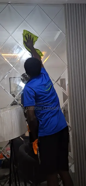 Professional Deep Cleaning & Upholstery Services