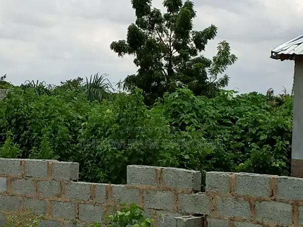 Filin Zama 25x25m don Siyarwa, Tasha 1 - 1