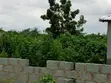 25x25m Residential Land for Sale, Tasha 1 - 1