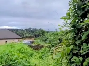 6 Plots of Land, Fenced & Gated in Ohiya, Umuahia