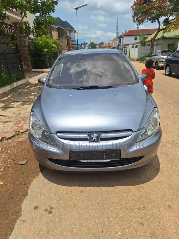 Peugeot 307 SW 2002 Silver - 1