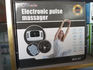 Electronic Pulse Massager