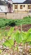Premium Berkley Estate Phase 1 Land for Sale - 1