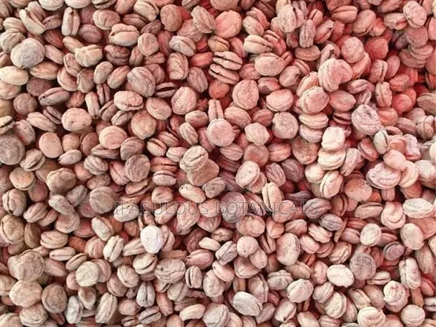 Organic Ginseng Seeds for Planting - 1