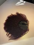 Gashin Mutum 100% Pixie Curl 5x5 Closure, 18 Inches, Burgundy - 2
