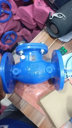 Flange Non-Return Valve