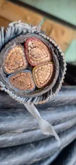 120mm 4-Core Armoured Cable (Full Gauge) - 1