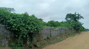 Residential Land for Sale in Temu Village, Epe