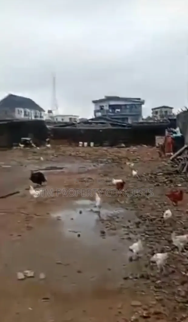 Cikakken Filin Ƙasa Don Siyarwa a Sawmill Gbagada - 1